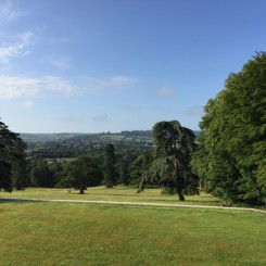 The parkland from the terrace